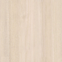 Wpc New Natural Wandpaneel 280cm x 60cm x 8mm
