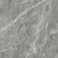 Spc Slate Elegance  Wandpaneel 244cm x 122cm x3mm