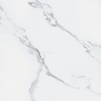 Spc Stone White wandpaneel 244cm x 122cm x 3mm