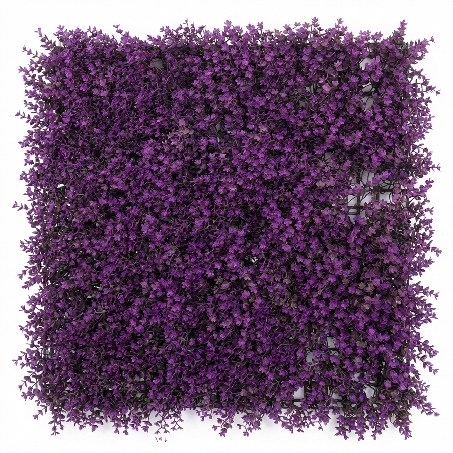 Violet  50cm x 50cm