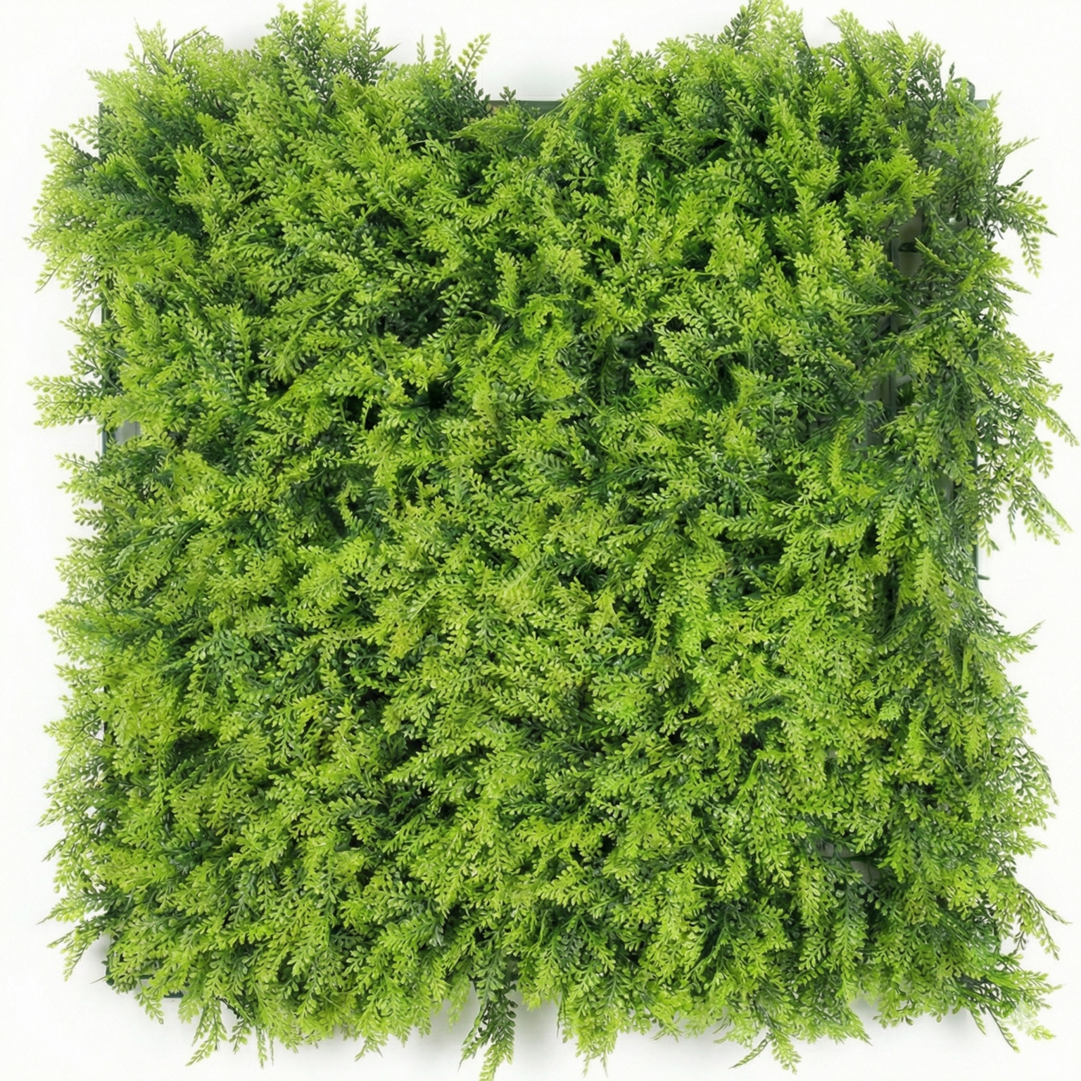 Woodland Breeze 50cm x 50cm