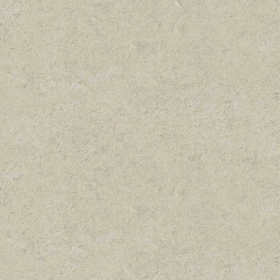 Sunbleached SPC Wandpaneel 280x60cm