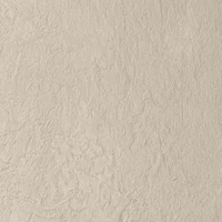 Spc Sunbleached Wandpaneel 244cm x 122cm x 3mm